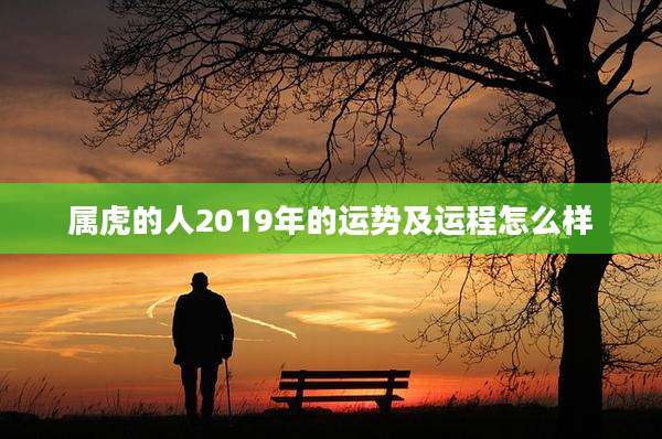 属虎的人2019年的运势及运程怎么样
