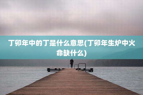 丁卯年中的丁是什么意思(丁卯年生炉中火命缺什么)