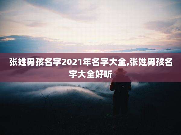 张姓男孩名字2021年名字大全,张姓男孩名字大全好听