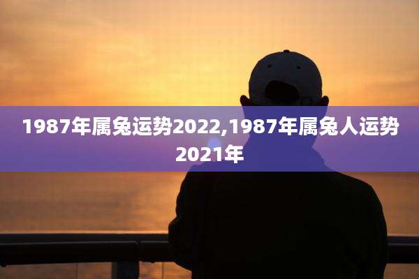 1987年属兔运势2022,1987年属兔人运势2021年