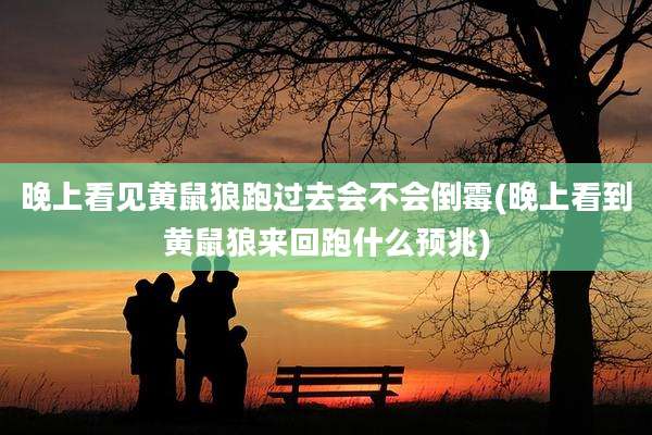 晚上看见黄鼠狼跑过去会不会倒霉(晚上看到黄鼠狼来回跑什么预兆)