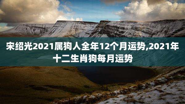 宋绍光2021属狗人全年12个月运势,2021年十二生肖狗每月运势