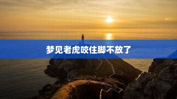 梦见老虎咬住脚不放了