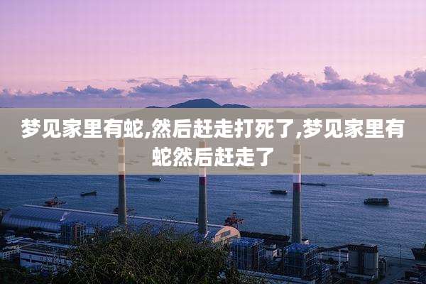梦见家里有蛇,然后赶走打死了,梦见家里有蛇然后赶走了