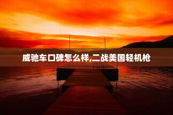 威驰车口碑怎么样,二战美国轻机枪