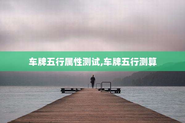 车牌五行属性测试,车牌五行测算