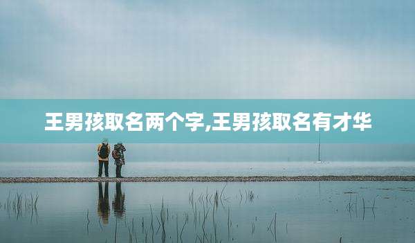 王男孩取名两个字,王男孩取名有才华