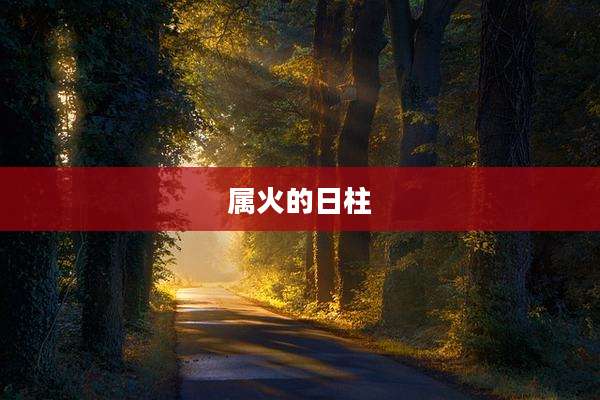 属火的日柱