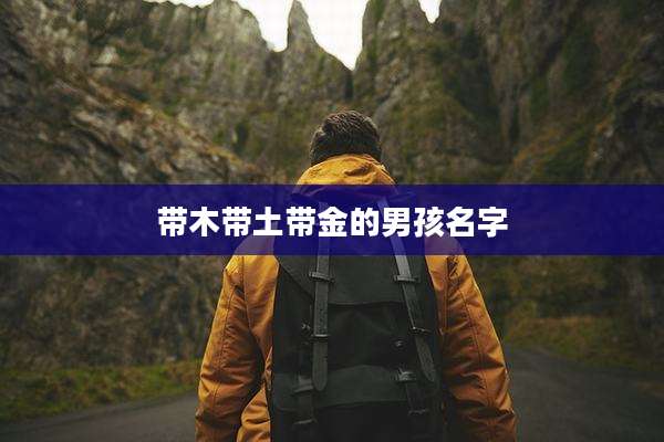 带木带土带金的男孩名字