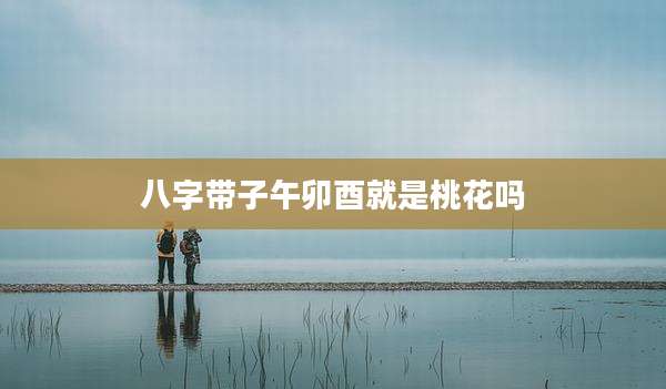 八字带子午卯酉就是桃花吗