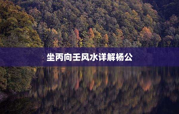 坐丙向壬风水详解杨公