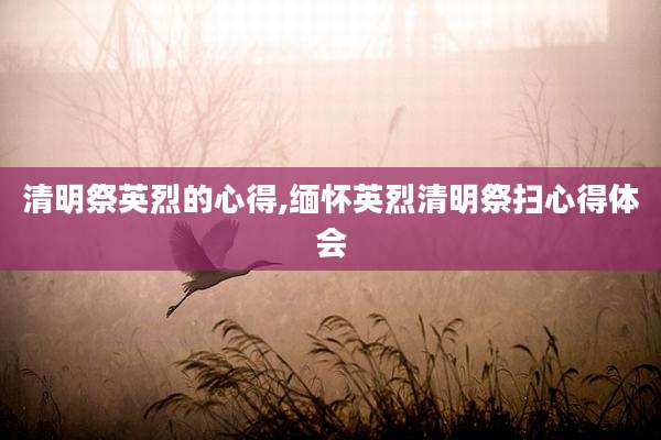 清明祭英烈的心得,缅怀英烈清明祭扫心得体会