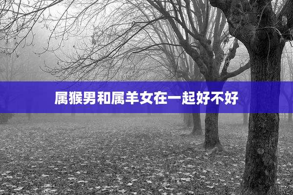 属猴男和属羊女在一起好不好