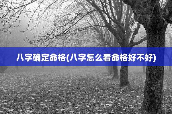 八字确定命格(八字怎么看命格好不好)
