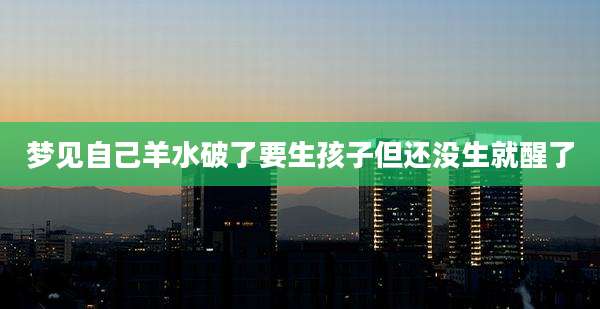 梦见自己羊水破了要生孩子但还没生就醒了