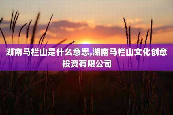 湖南马栏山是什么意思,湖南马栏山文化创意投资有限公司