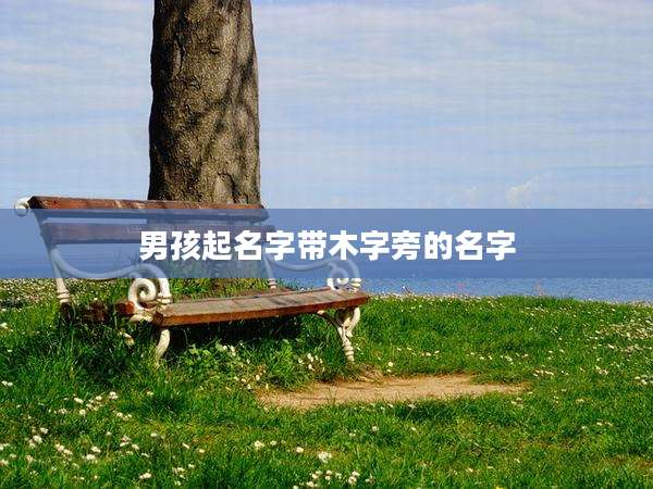 男孩起名字带木字旁的名字