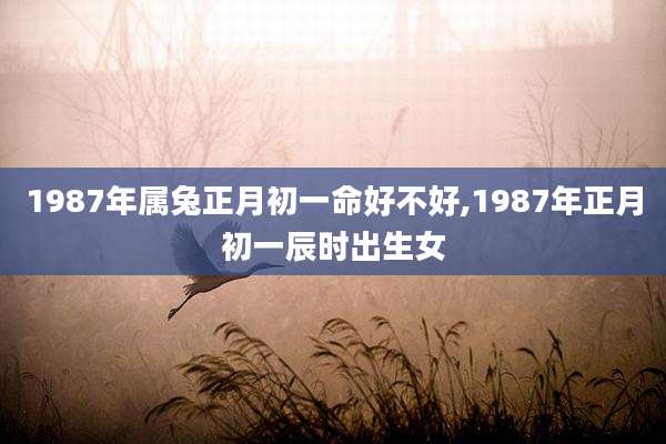 1987年属兔正月初一命好不好,1987年正月初一辰时出生女