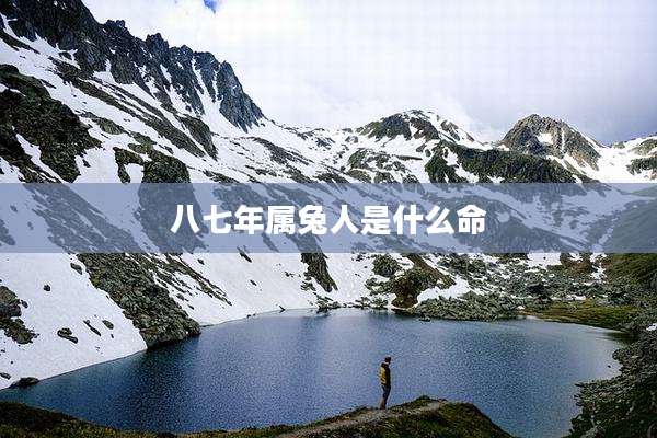 八七年属兔人是什么命