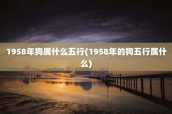 1958年狗属什么五行(1958年的狗五行属什么)