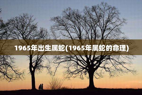 1965年出生属蛇(1965年属蛇的命理)