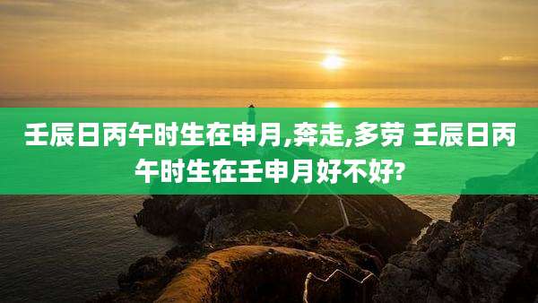 壬辰日丙午时生在申月,奔走,多劳 壬辰日丙午时生在壬申月好不好?
