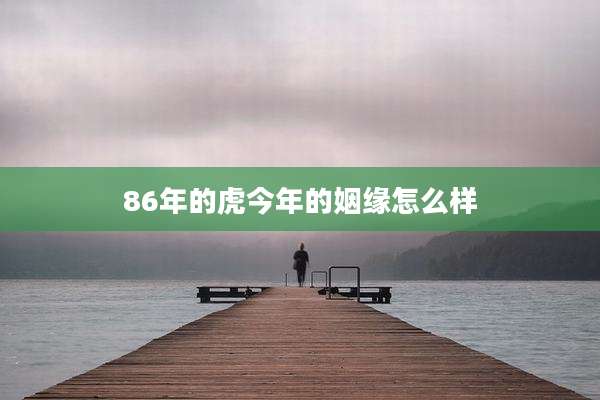 86年的虎今年的姻缘怎么样