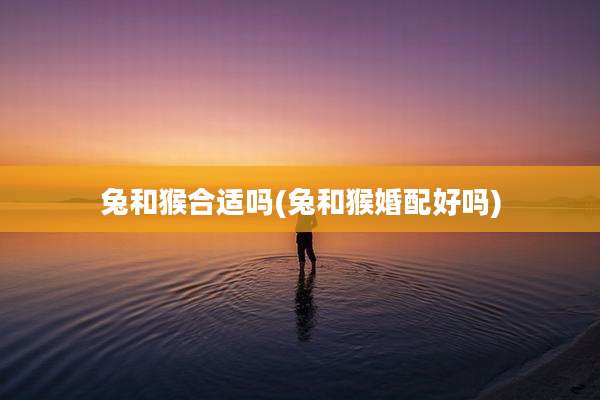 兔和猴合适吗(兔和猴婚配好吗)