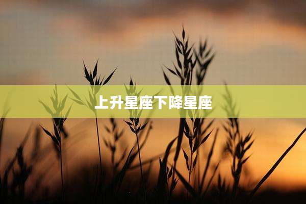上升星座下降星座
