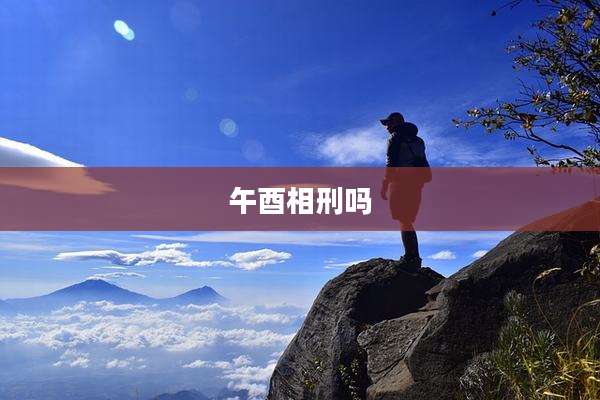 午酉相刑吗
