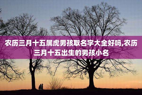 农历三月十五属虎男孩取名字大全好吗,农历三月十五出生的男孩小名