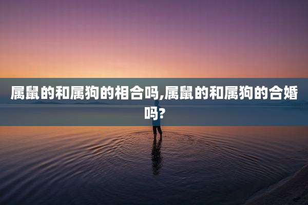 属鼠的和属狗的相合吗,属鼠的和属狗的合婚吗?