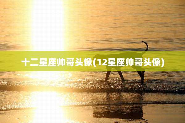 十二星座帅哥头像(12星座帅哥头像)
