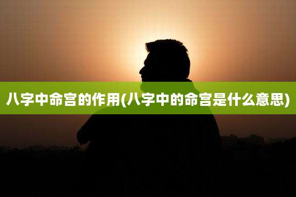 八字中命宫的作用(八字中的命宫是什么意思)