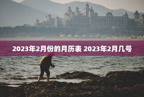 2023年2月份的月历表 2023年2月几号