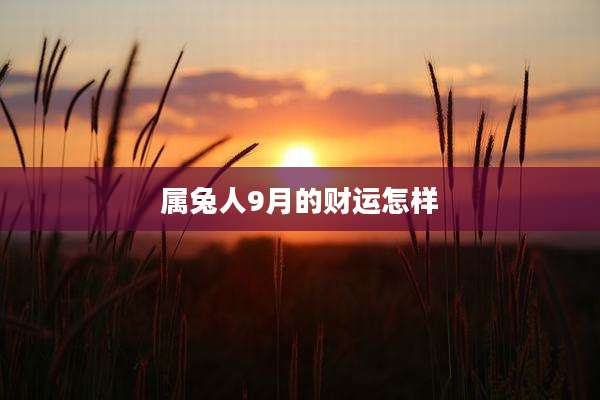 属兔人9月的财运怎样