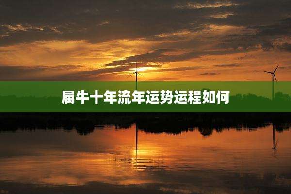 属牛十年流年运势运程如何