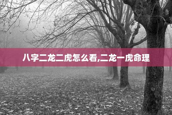 八字二龙二虎怎么看,二龙一虎命理