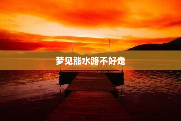 梦见涨水路不好走