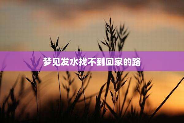 梦见发水找不到回家的路