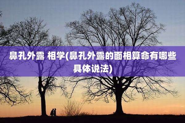 鼻孔外露 相学(鼻孔外露的面相算命有哪些具体说法)