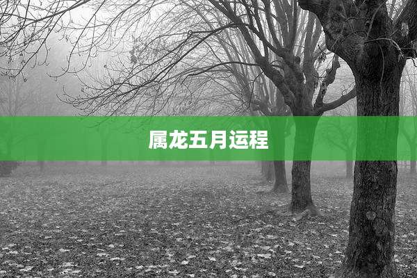 属龙五月运程