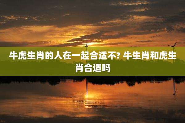 牛虎生肖的人在一起合适不? 牛生肖和虎生肖合适吗