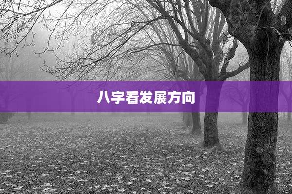 八字看发展方向