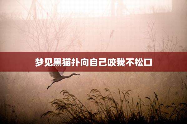 梦见黑猫扑向自己咬我不松口