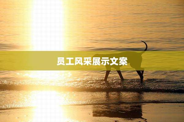 员工风采展示文案