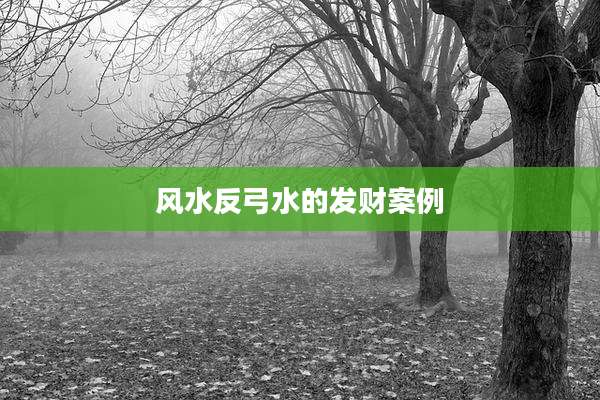 风水反弓水的发财案例