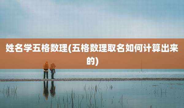 姓名学五格数理(五格数理取名如何计算出来的)