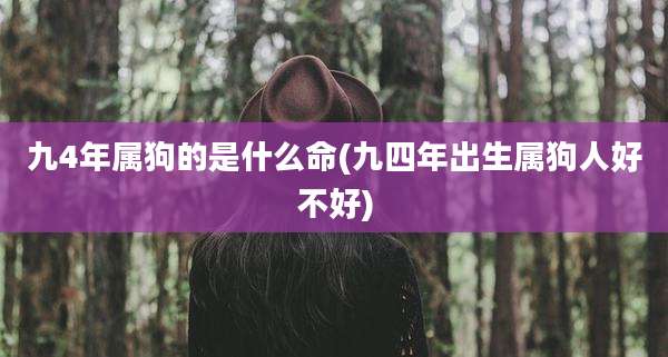 九4年属狗的是什么命(九四年出生属狗人好不好)