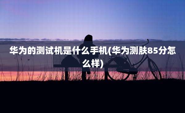 华为的测试机是什么手机(华为测肤85分怎么样)